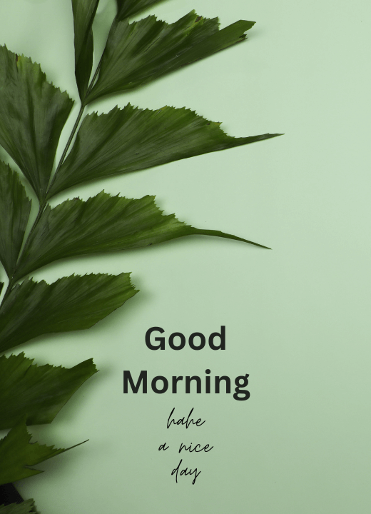 Free Good Morning Pic With Nature Download