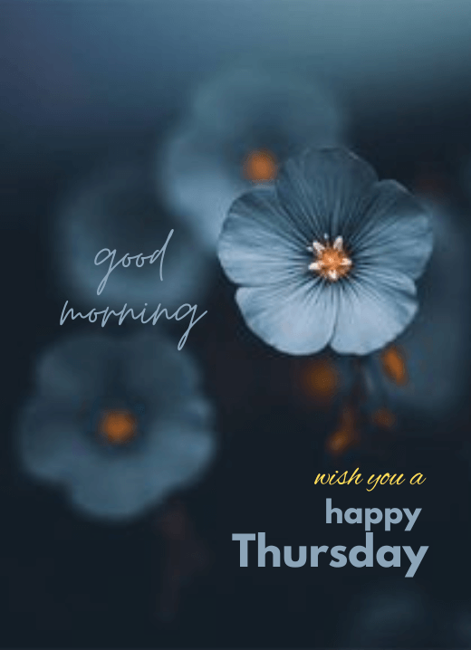 Good Morning Thursday Flower Whatsapp Image DP