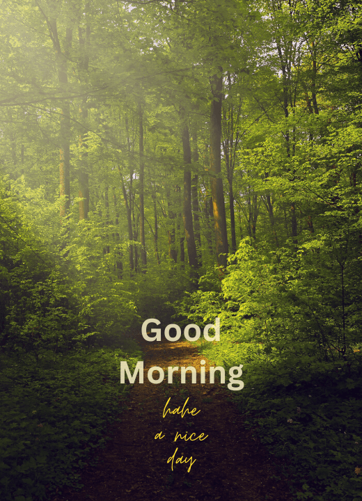 Nature Good Morning Hills Image Download