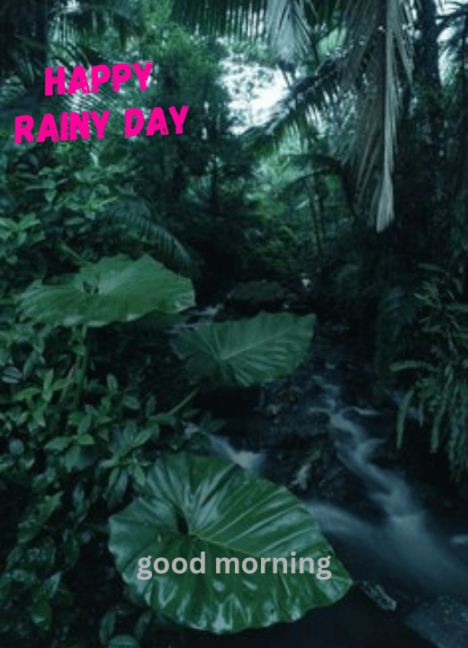 a rainy day good morning image bengali