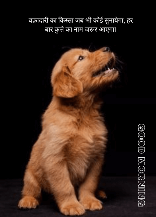good morning blessings dog images