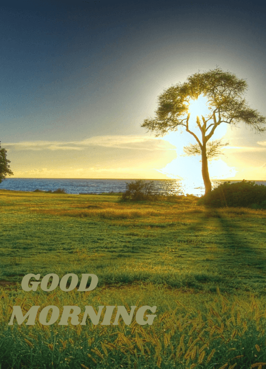 good morning wishes with beautiful nature images