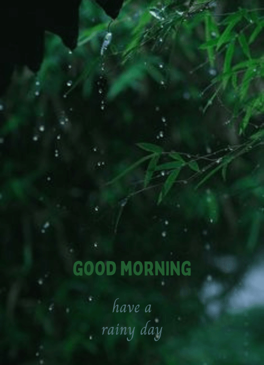 rainfall good morning images