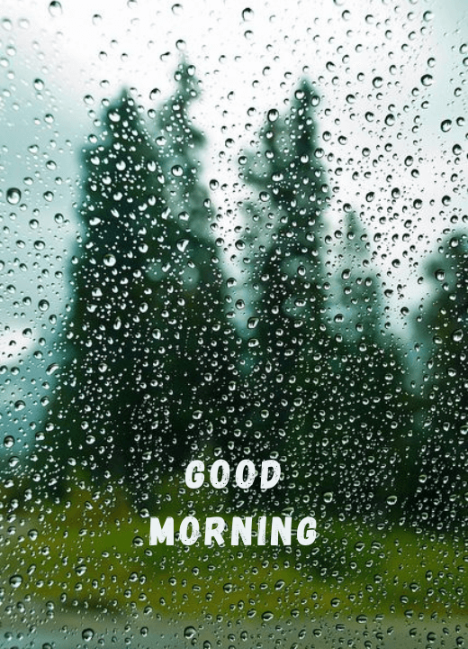good morning nature rain images