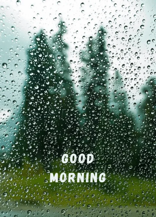 rainy good morning