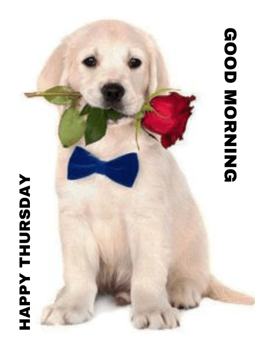 snoopy dog good morning images