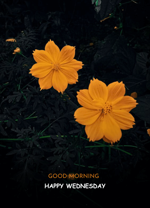 Wednesday beautiful good morning HD Instagram wallpapers