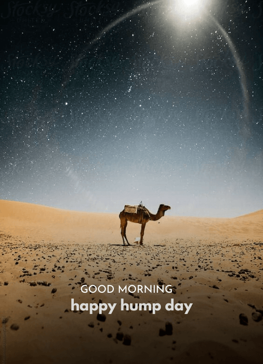good morning hump day wednesday images