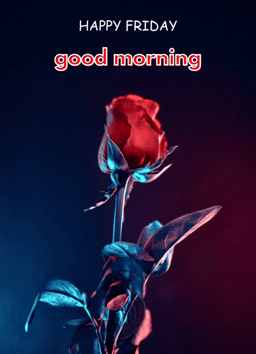 good morning images 3d full hd 1080p download