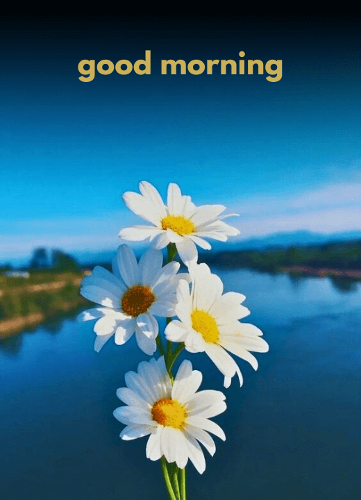 good morning images guruwar