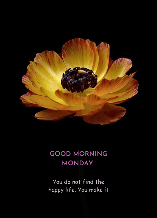 good morning monday flowers images and messages