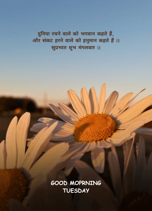 happy tuesday good morning images with quotes in hindi