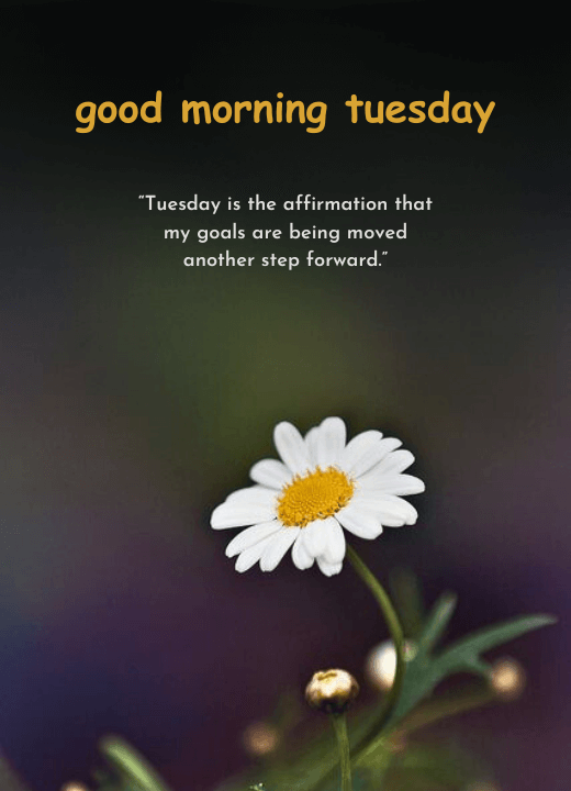 positive good morning tuesday images and quotes