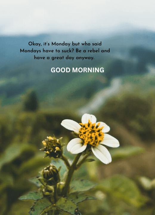 positive inspirational good morning monday images