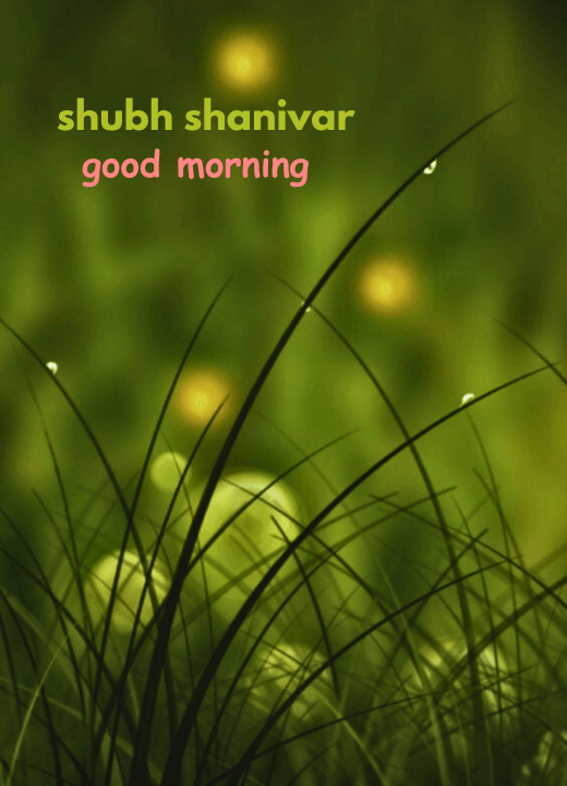 shubh shanivar good morning gif