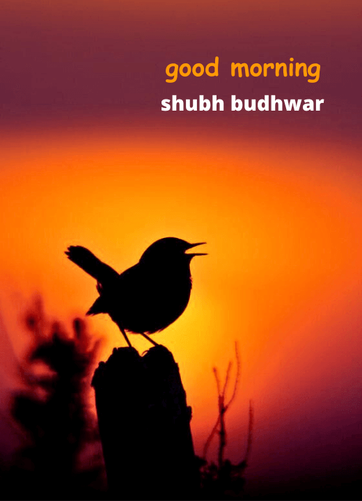 Shubh Budhwar good morning images on WhatsApp