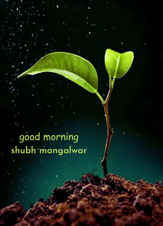 Shubh Mangalwar Good Morning Photo Download