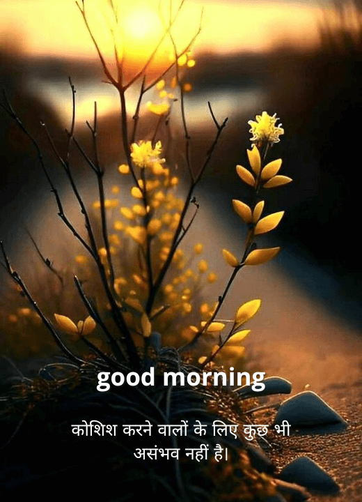 good morning images motivational thoughts in hindi