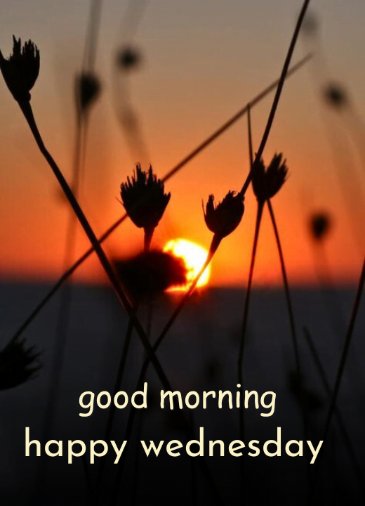 good morning wednesday sunrise images