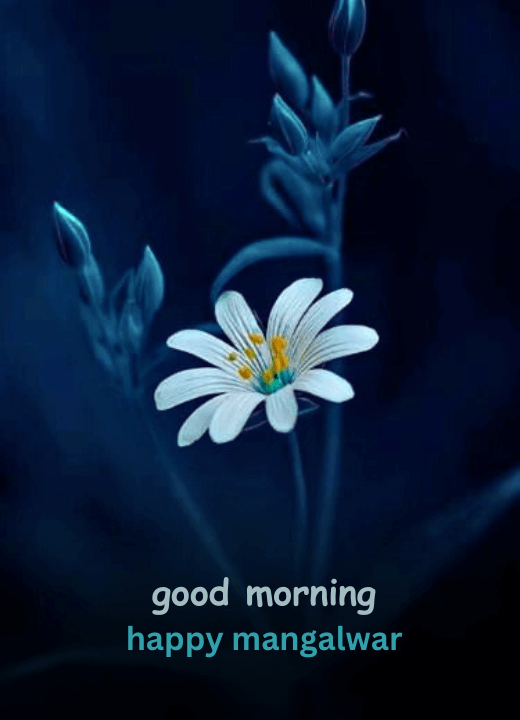 happy mangalwar good morning images