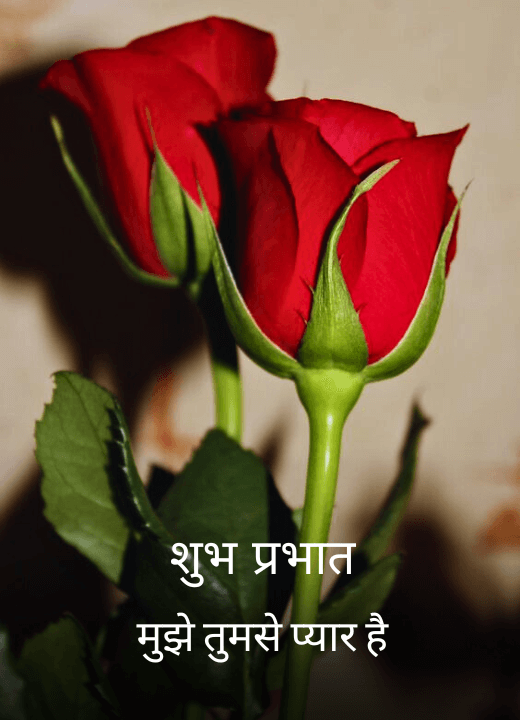 romantic good morning images for husband in hindi