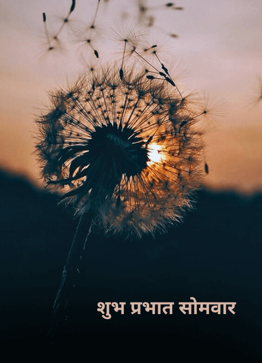 shubh somwar images in hindi