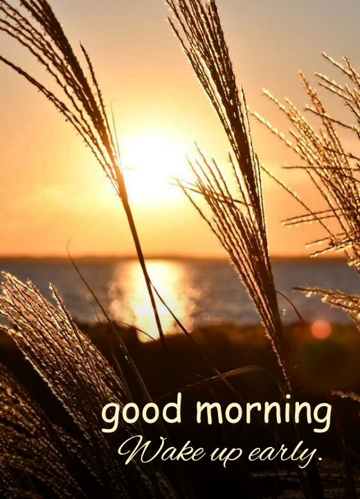 sunday good morning wishes with sunrise images