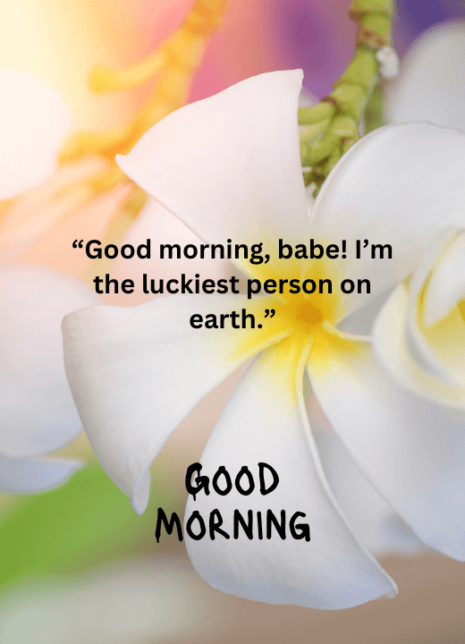 good morning images with beautiful flowers and quotes