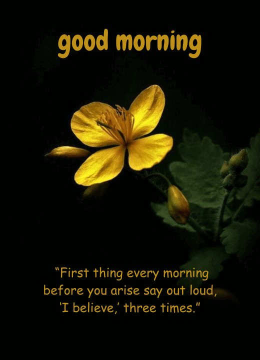 good morning images with flowers and quotes