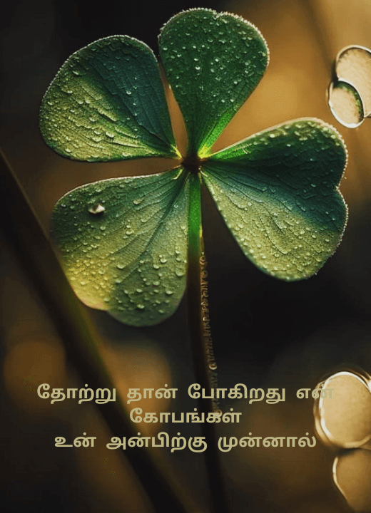 love feeling images tamil hd download