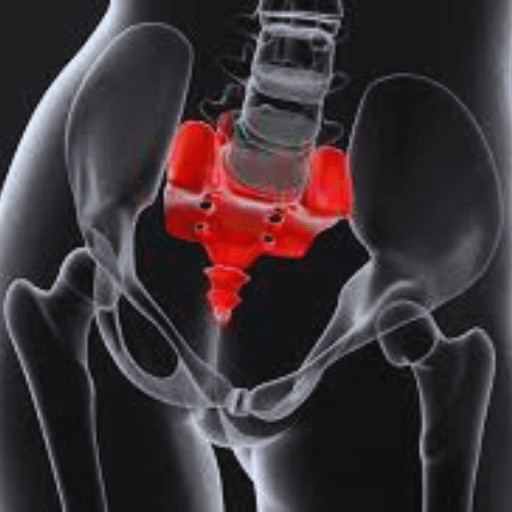tailbone coccyx images