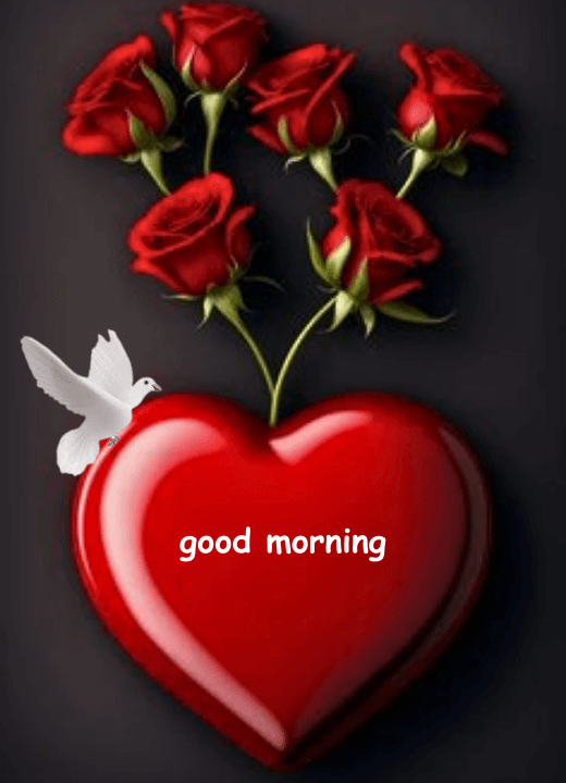 good morning image with red rose and heart